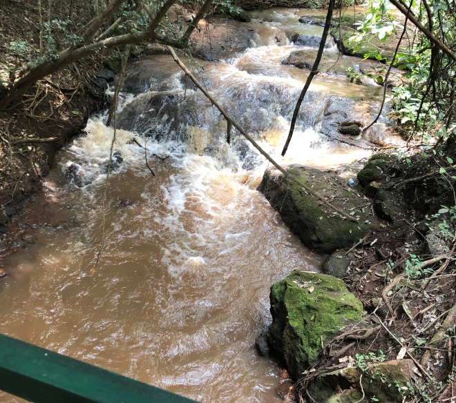 Rough stream at Karura Forest